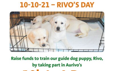 Aurivo 10k In A Day for Irish Guide Dogs for the Blind