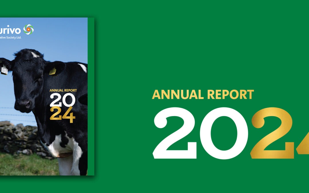 Full year financial results for the year ended 31 december 2024