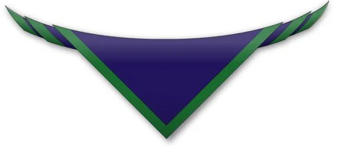 120th Portmarnock scouts necker
