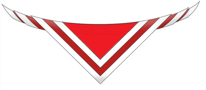 73rd Raheny Scouts necker